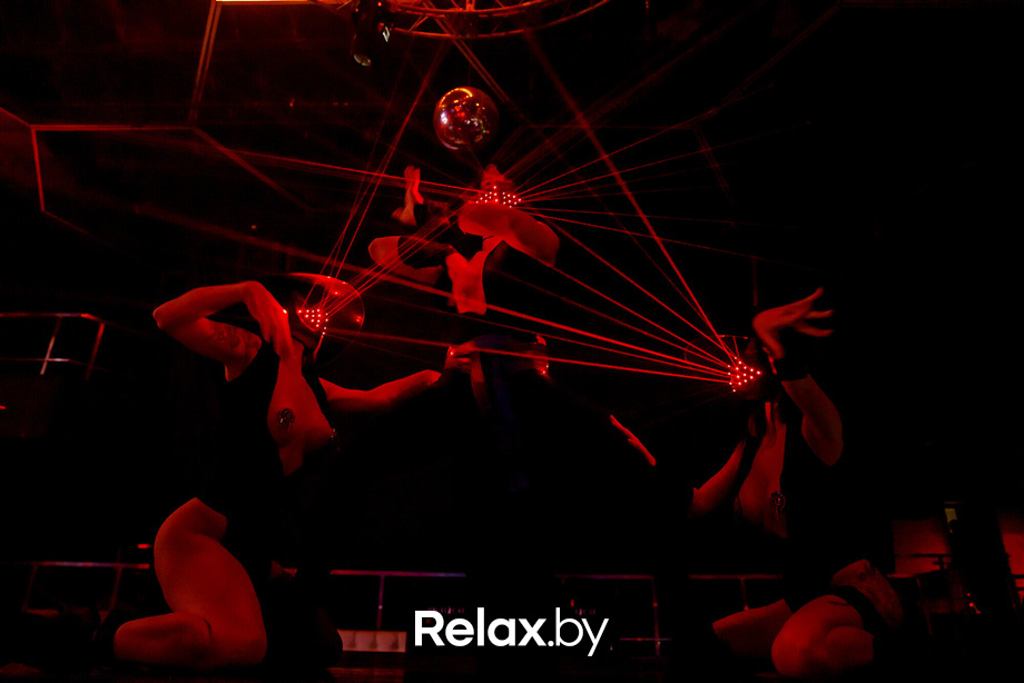 Rich Cat friday, фото № 56