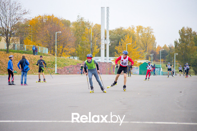 Золотая осень с Васильками, фото № 76