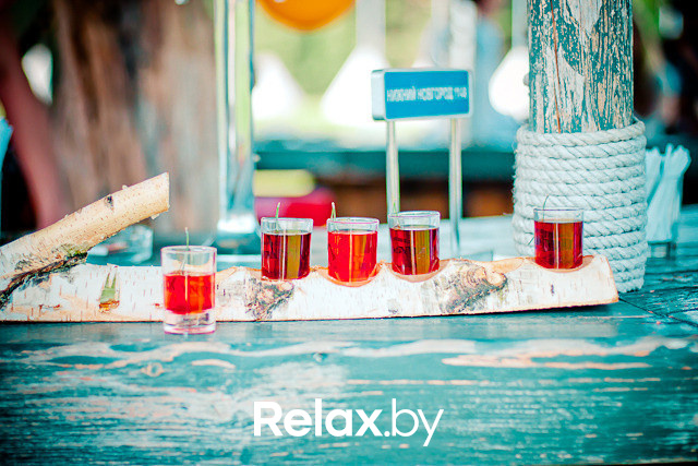 Экспедиция презентация Пикник-отеля, фото № 85