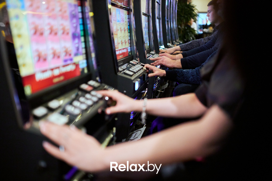 Пекинская капуста, фото № 32