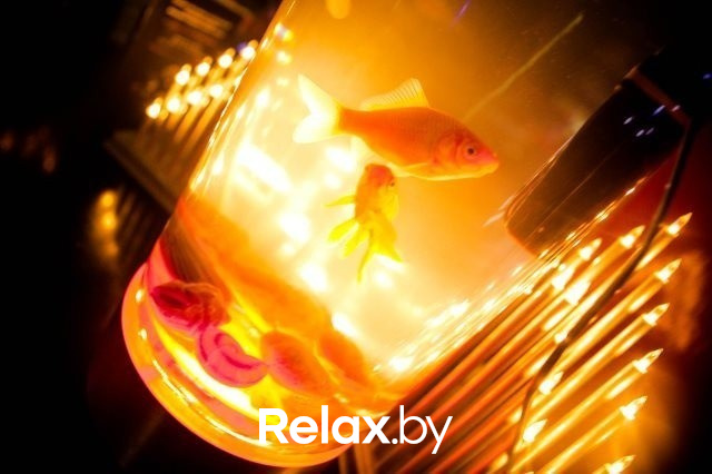 Золотые голоса, фото № 65