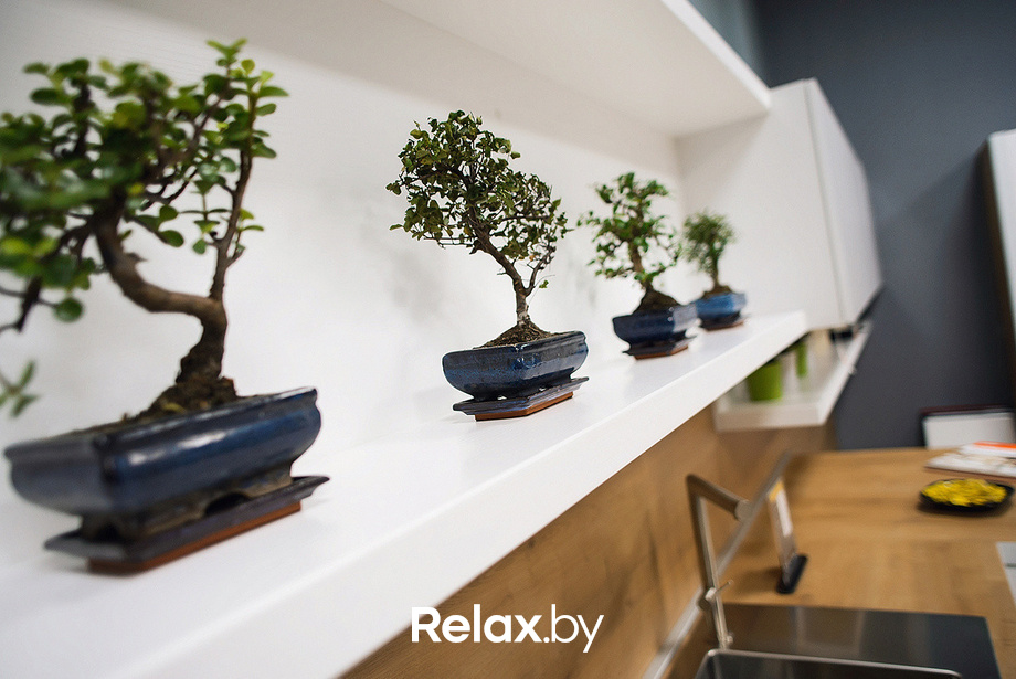 Открытие магазина немецкой техники  Zuchel Kuche, фото № 51