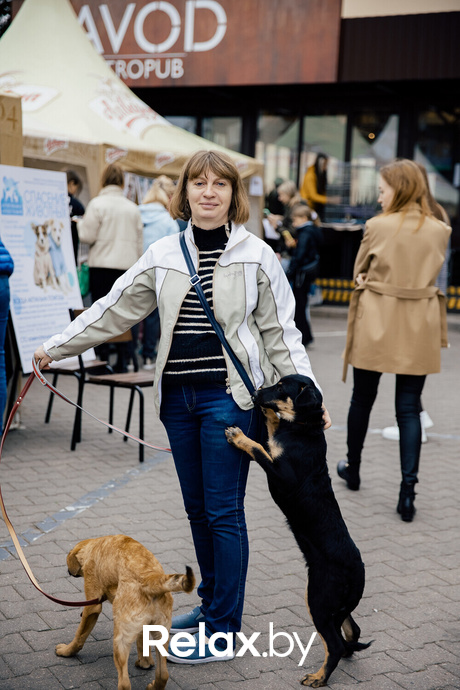 Благотворительная акция пушистого добра, фото № 18