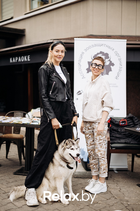 Акция Пушистого Добра, фото № 80