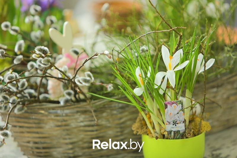 Воркшоп #Весенний лес, фото № 1