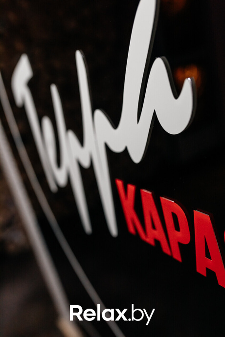 Terra Karaoke, фото № 27