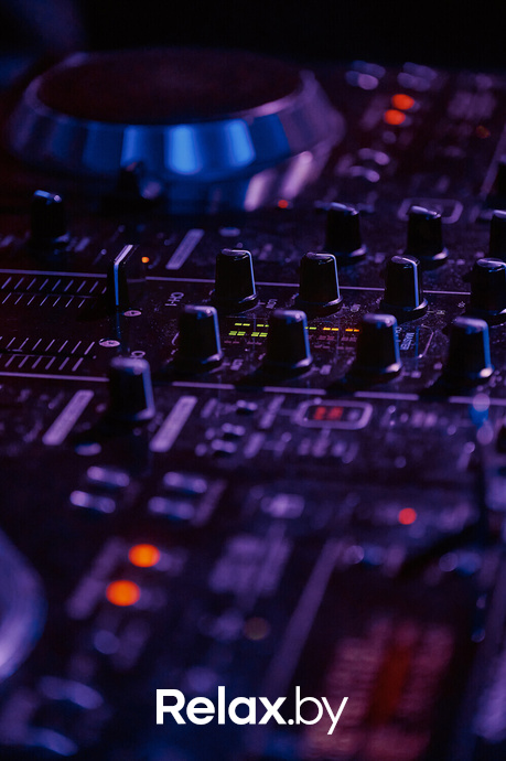 Monkey Brothers, фото № 15