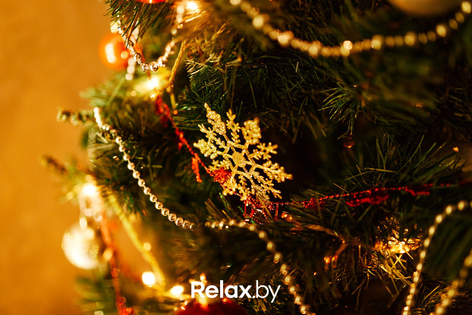 Ёлки 2021, фото № 6