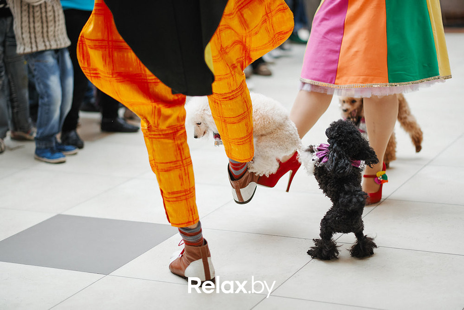 Благотворительный закрытый показ «Ловушка для привидения», фото № 31