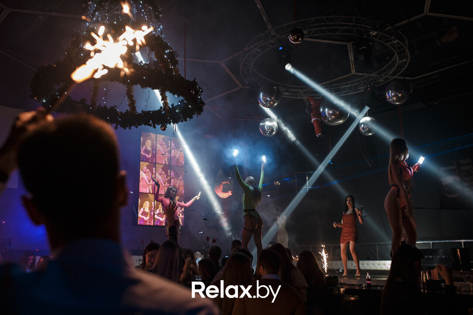 Euphoria Rich Cat, фото № 23