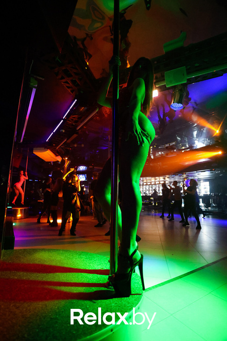 Ice-ise baby, фото № 2