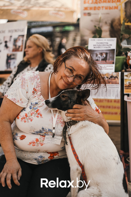 Акция Пушистого Добра, фото № 128