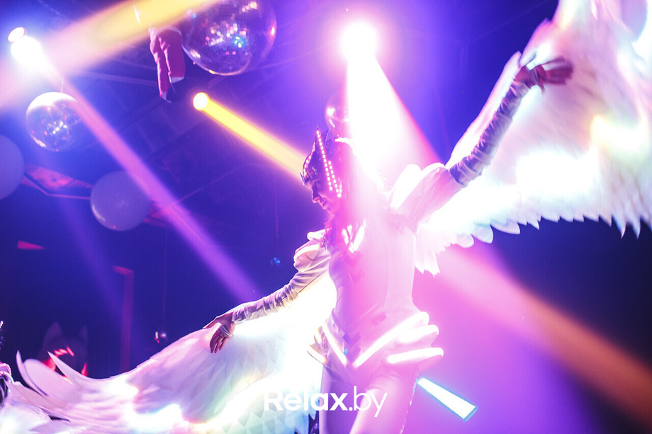 Новый год Rich Cat, фото № 85