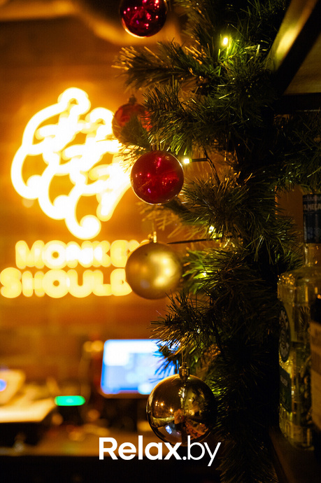 Monkey Brothers, фото № 74