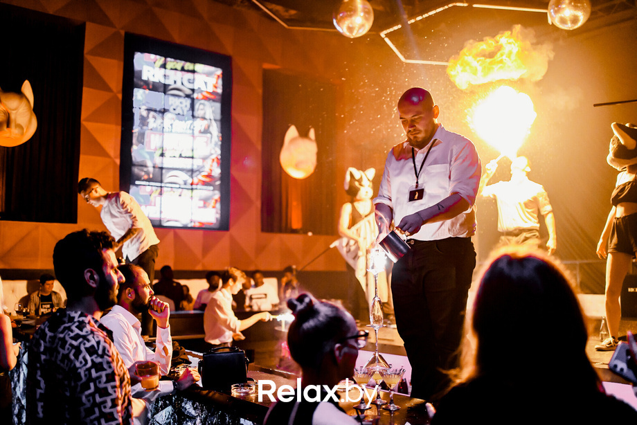 Rich Cat friday, фото № 100