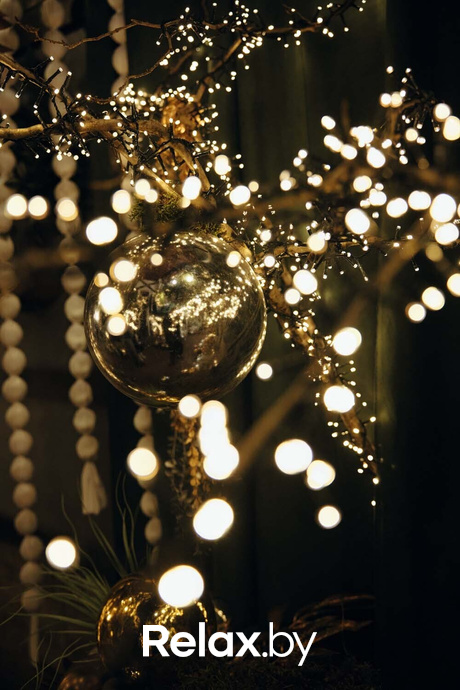 Отдыхаем Броварно, фото № 8