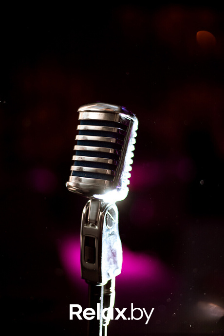 Ночь караоке, фото № 10