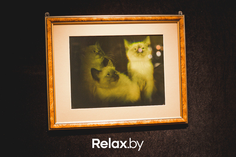 Ночь музеев, фото № 112