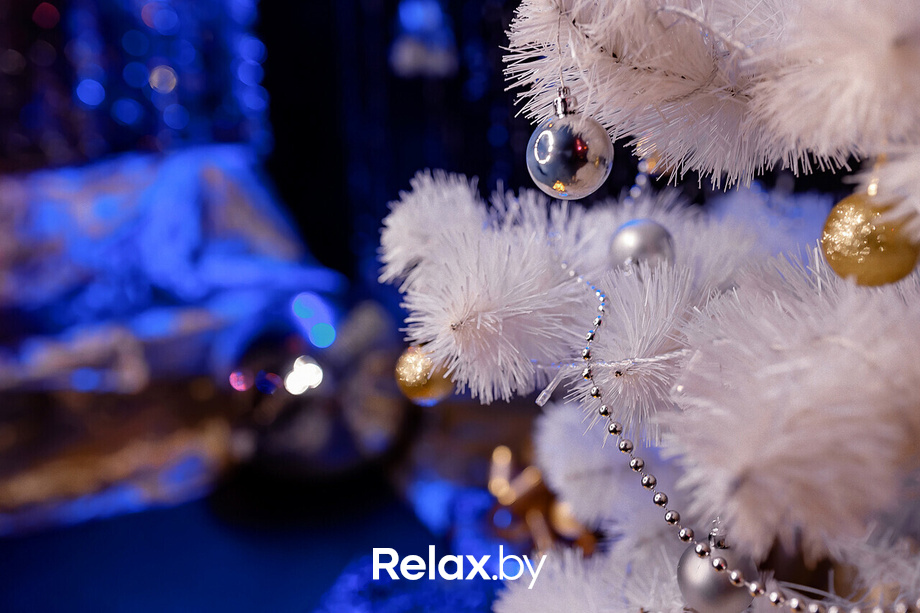 Предновогодние пятницы в Max Show, фото № 5