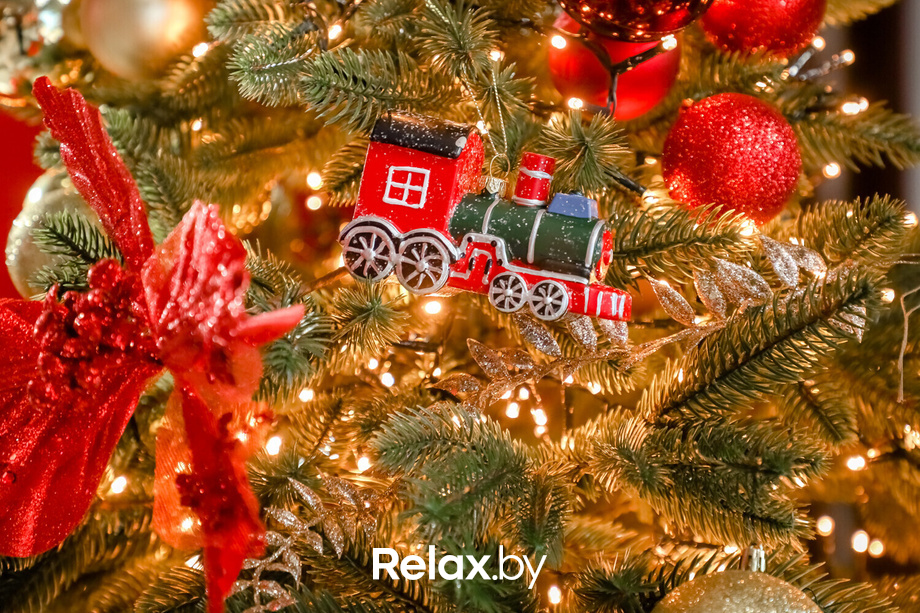 Резиденция Деда Мороза в Galileo, фото № 15