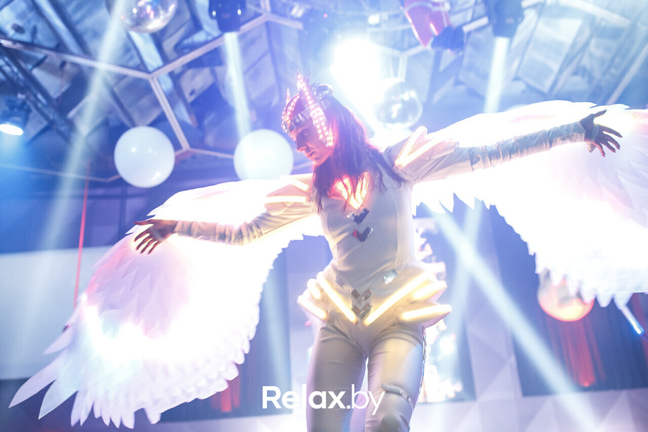 Новый год Rich Cat, фото № 86