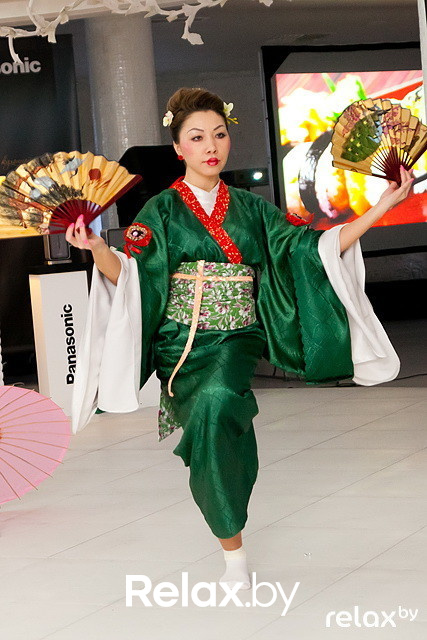 Презентация Panasonic, фото № 97