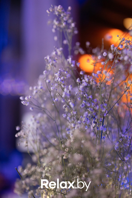 Ночные жители, фото № 47