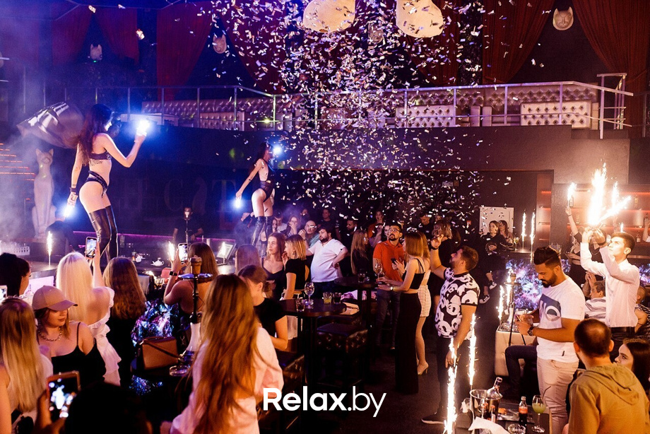 Rich Cat Party, фото № 40