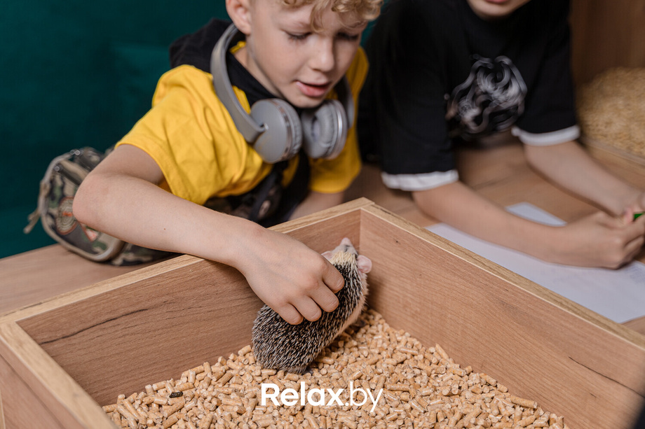 Открытие антикафе «Ёж кафе», фото № 4