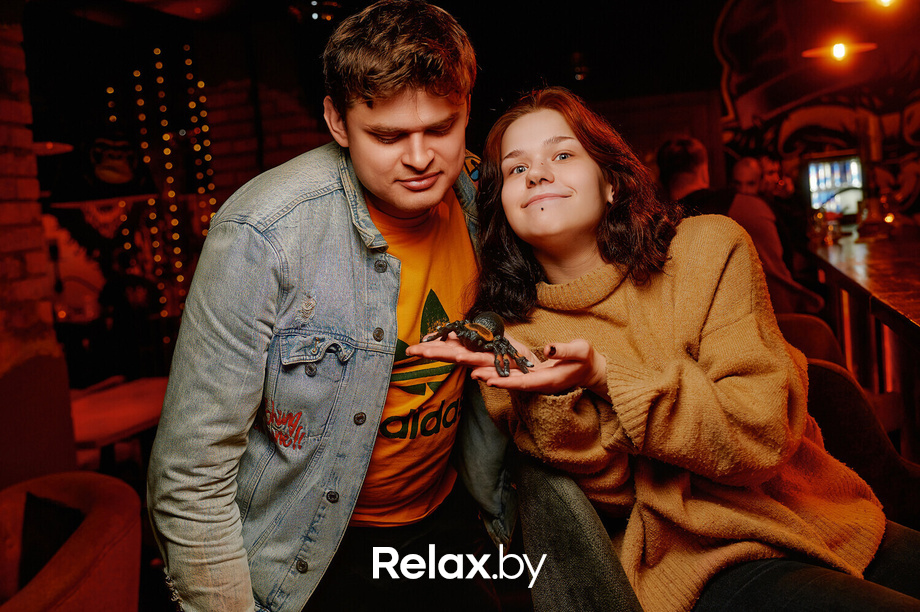 Monkey Brothers, фото № 49