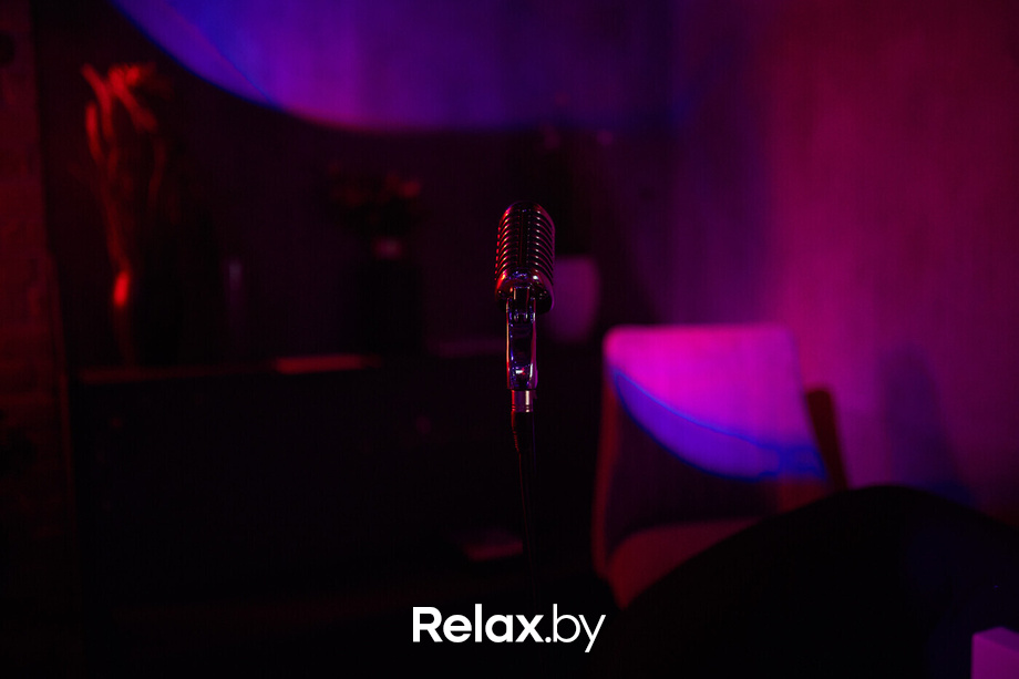 Ночь караоке, фото № 5