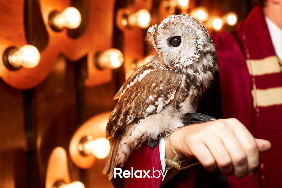 Halloween, фото № 133