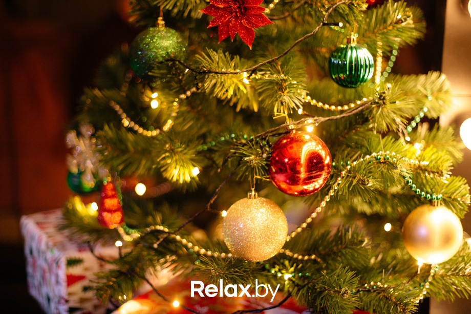 Terra - Karaoke, фото № 30