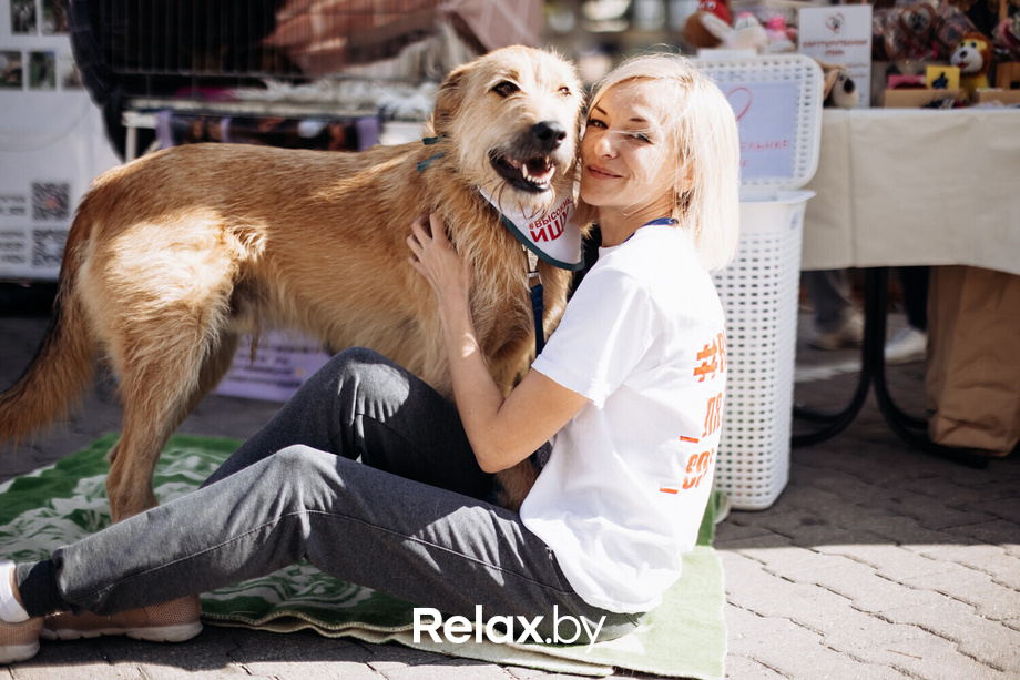 Акция Пушистого Добра, фото № 35