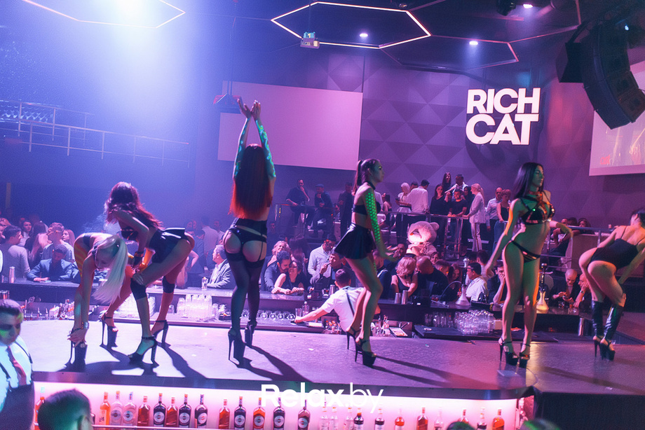 Cat club köln