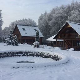 Новое городище