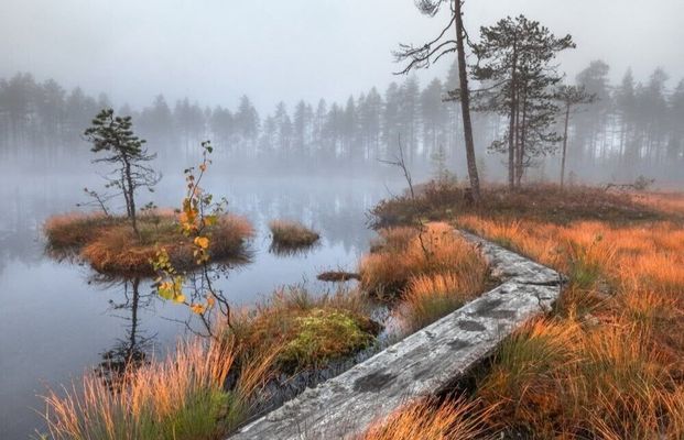 От болот до замков. 5 экскурсий для тех, кто хочет узнать настоящую Беларусь