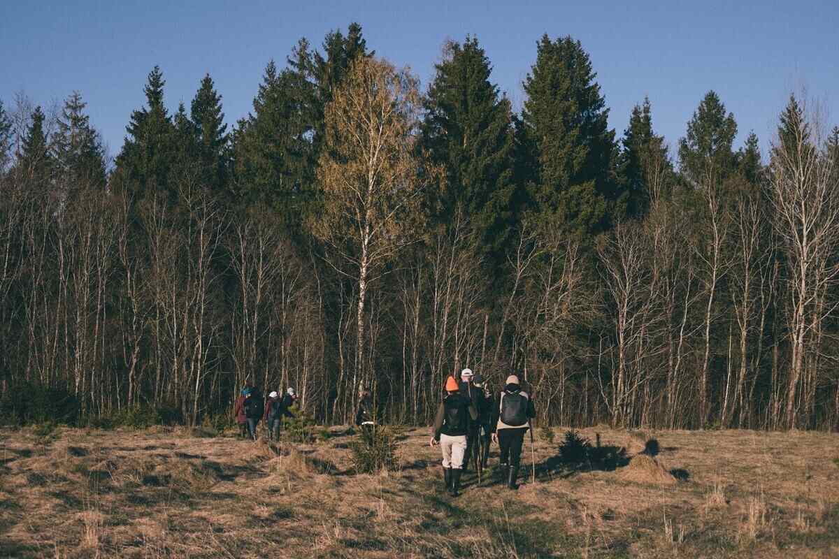 Хвоя, мох, кофе, гранит и яблоки: чем пахнет Беларусь для путешественников
