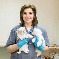 Софийская Татьяна Васильевна