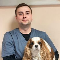 Доронькин Дмитрий Сергеевич