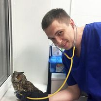 Вадейко Дмитрий Юрьевич