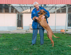 null Гостиница для животных с ветеринарными услугами, Интерьер - фото 8