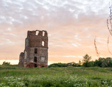 Замок Белый Ковель, Смольский замок - фото 6