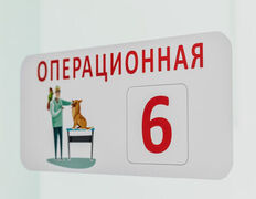 Ветеринарная клиника Умная ветеринария, 	Клиника на ул. Алибегова, 25 - фото 15