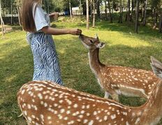 Парк семейного отдыха/зоопарк Парк животных, Галерея - фото 11