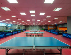 Клуб настольного тенниса King Pong Club (Кинг Понг Клаб), Галерея - фото 16
