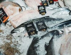 Магазин по продаже охлажденной рыбы и морепродуктов John Dory (Джон Дори), Интерьер - фото 4