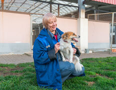 null Гостиница для животных с ветеринарными услугами, Интерьер - фото 15