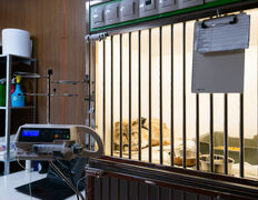 Ветеринарная клиника Белая медведица, Галерея - фото 17