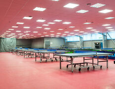 Клуб настольного тенниса King Pong Club (Кинг Понг Клаб), Галерея - фото 3